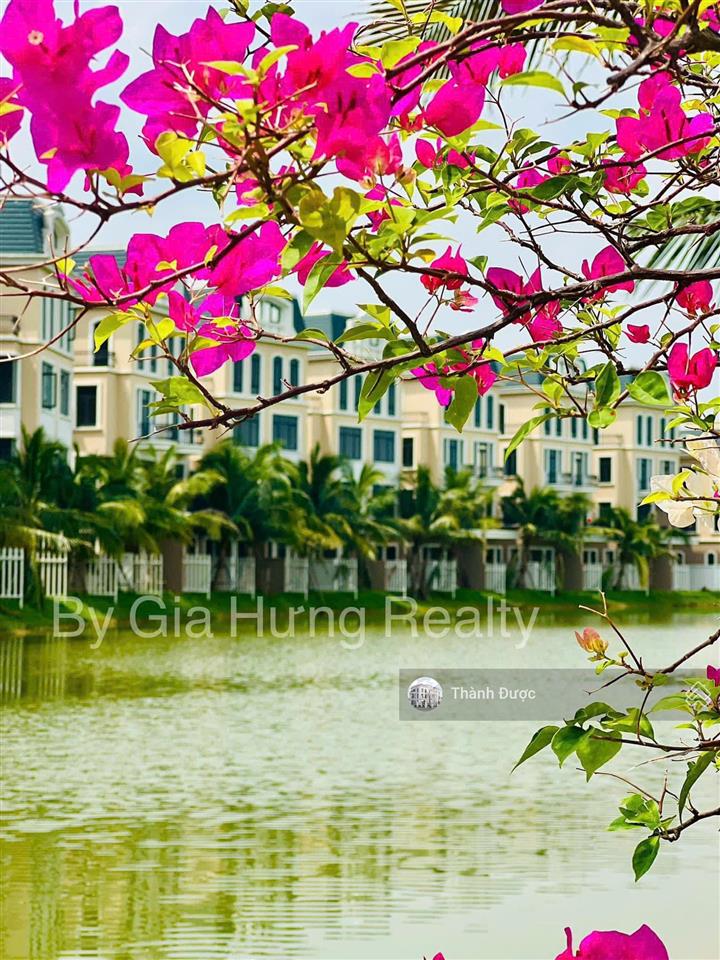 Chỉ với hơn 32 tỷ sở hữu ngay song lập 168m² view sông miên man dự án vinhomes ocean city
