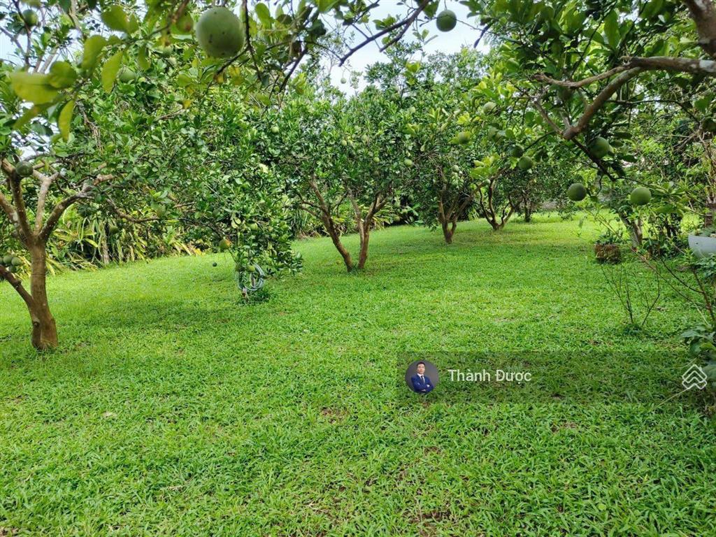 Chính chủ bán lô 240m2 mặt phố, 4 ô tô tránh nhau thoải mái tại việt hưng  hà nội.