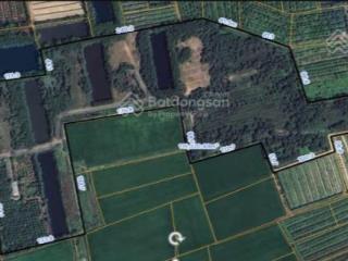 Bán đất tại đt 839, bình thành, đức huệ, long an, 50 tỷ, 115020 m2, view đẹp, uy tín