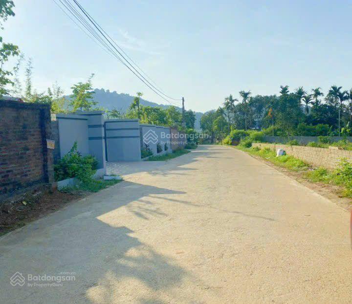 1100 m2 thổ cư 400 m2 mặt tiền 28,5 m giá 7 triệu/m2 nữa tại vân hòa ba vì hà nội