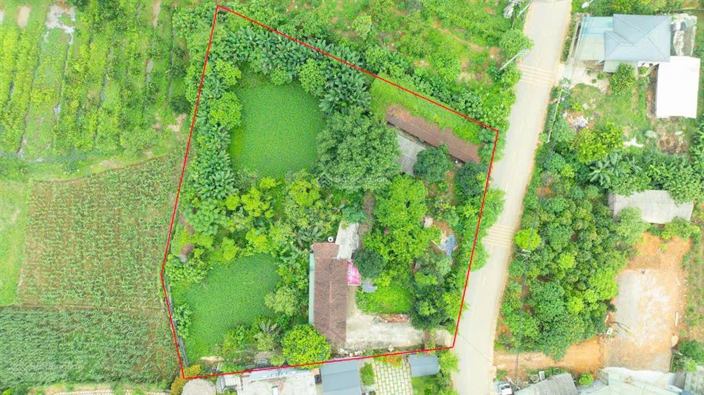 Đất nghỉ dưỡng ba vì 3.004 m2 thổ cư 264 m mặt tiền 40 m giá bán 7,5 triệu m 2 mặt đường trục chính