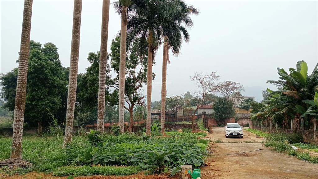 Bán lô đất 4677m² tc 800m² mặt tiền 90 m tại vân hòa yên bài mới hà nội, giá đầu tư cực tốt 21,5tỷ