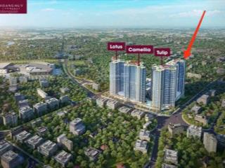Bán căn chung cư cao cấp dự án hoàng huy commerce