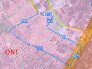 Bán 1,2ha đất ngay bãi biển  sẵn 1000m thổ cư  3 mặt tiền đường  sổ hồng vĩnh viễn lâu dài