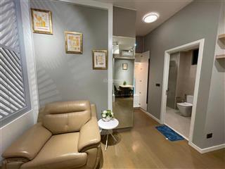 Cho thuê căn hộ studio cao cấp fraser q2, view sông, đầy đủ nội thất, 20 tr