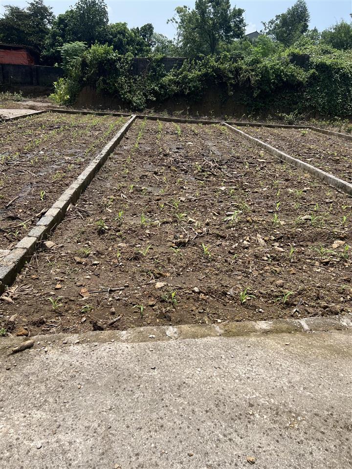 Bán đất tại xã an phú, 780 triệu, 91m2, mặt tiền 4.75m, ngõ rộng 5m