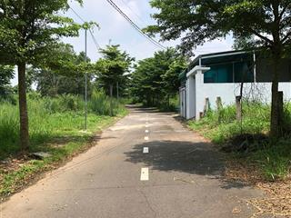 🌟 BÁN NHANH lô đất 117,9m² tại xã Trảng Bom, Đồng Nai, chỉ 950 triệu!