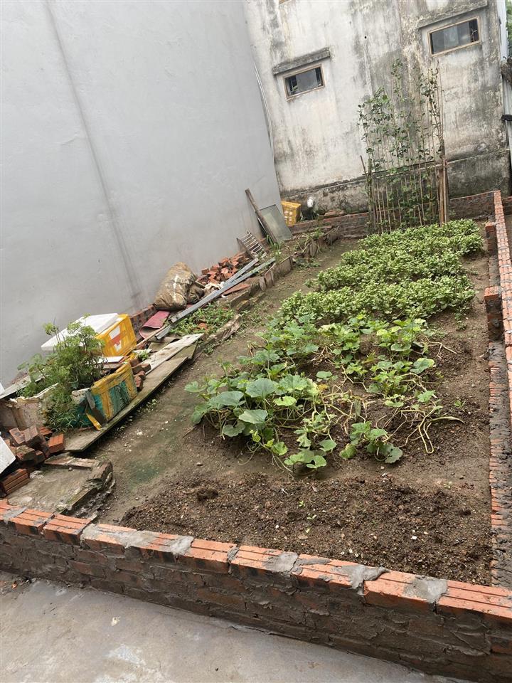 Tài chính nhỏ sở hữu mảnh đất tiềm năng tại võng la đông anh hà nội