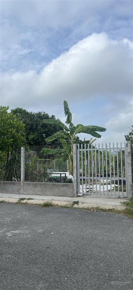 Bán gấp mt đường yết kiêu, phường 2, tây ninh (gần coopmart tây ninh), shr, chính chủ, 550tr/120m2
