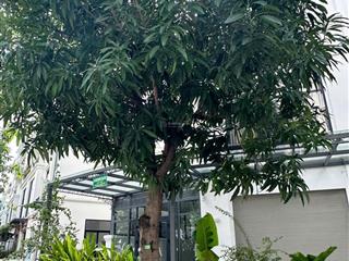 Giá bán nhanh nhà phố 126m2 21.5 tỷ đã có sổ vị trí đẹp tại vinhome grand park