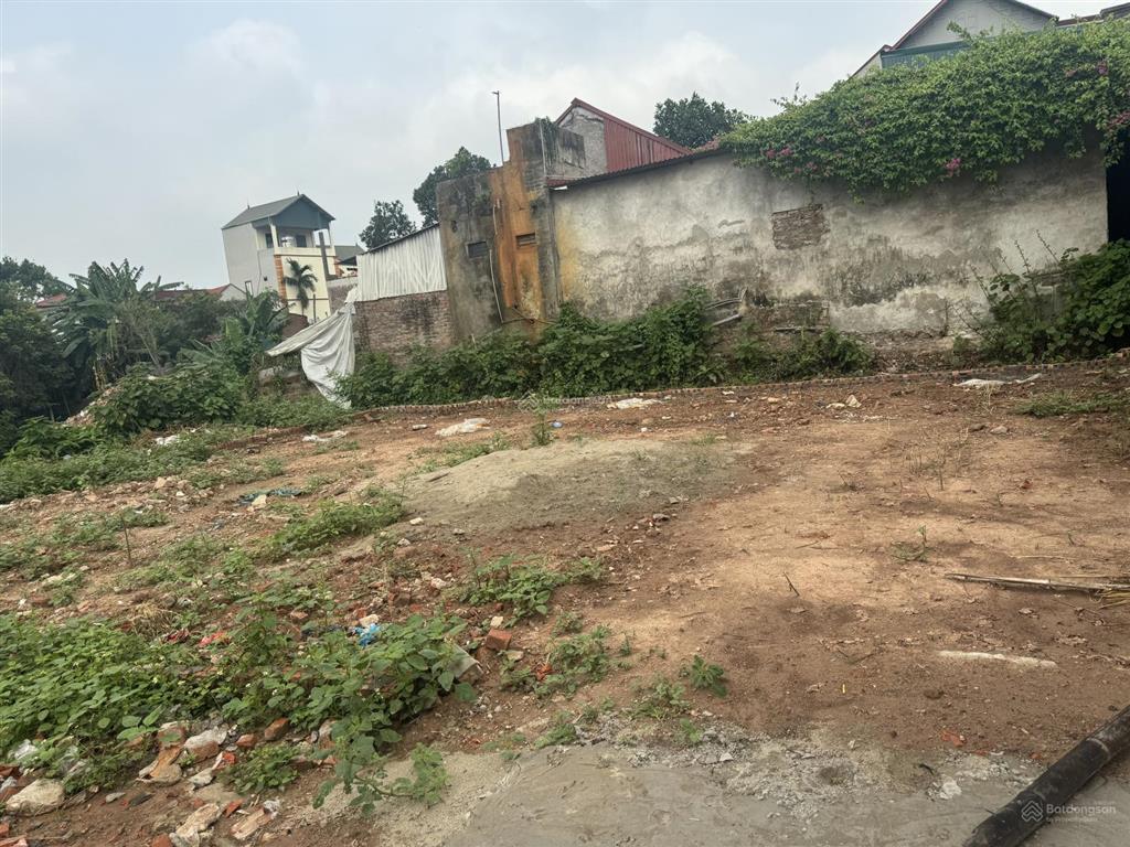 Bán đất tại đường 32, xã thanh đa, phúc thọ, hà nội, 49triệu/m2, 183 m2