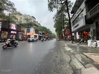 Mặt phố trung hoài  56.5 tỷ  105  7 tầng  mt 8m vỉa hè  thang máy  kinh doanh  văn phò
