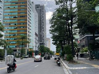 Mặt phố nguyễn hoàng  43 tỷ  90m  7 tầng  mt 5m  thang máy  kinh doanh  văn phòng