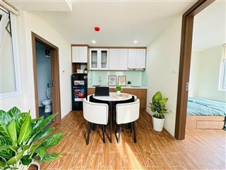 Cho thuê cc mini 2n1k trúc khê, láng hạ, 10 triệu, 50m2, đống đa, hà nội