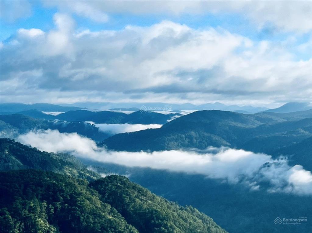 Bán lô đất siêu đẹp 8.154m tại cầu đất, đà lạt