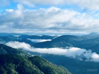 Bán lô đất siêu đẹp 8.154m tại cầu đất, đà lạt