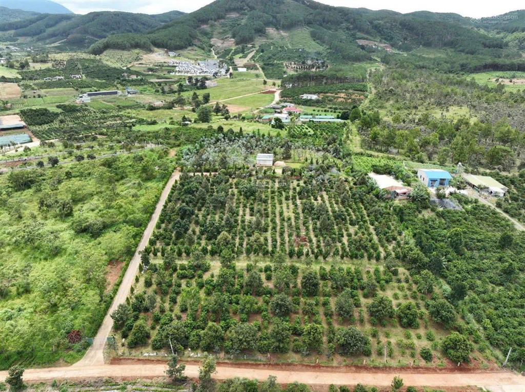 Lô đất rộng 2.000m², giá chỉ 2 tỷ cách đà lạt 27km