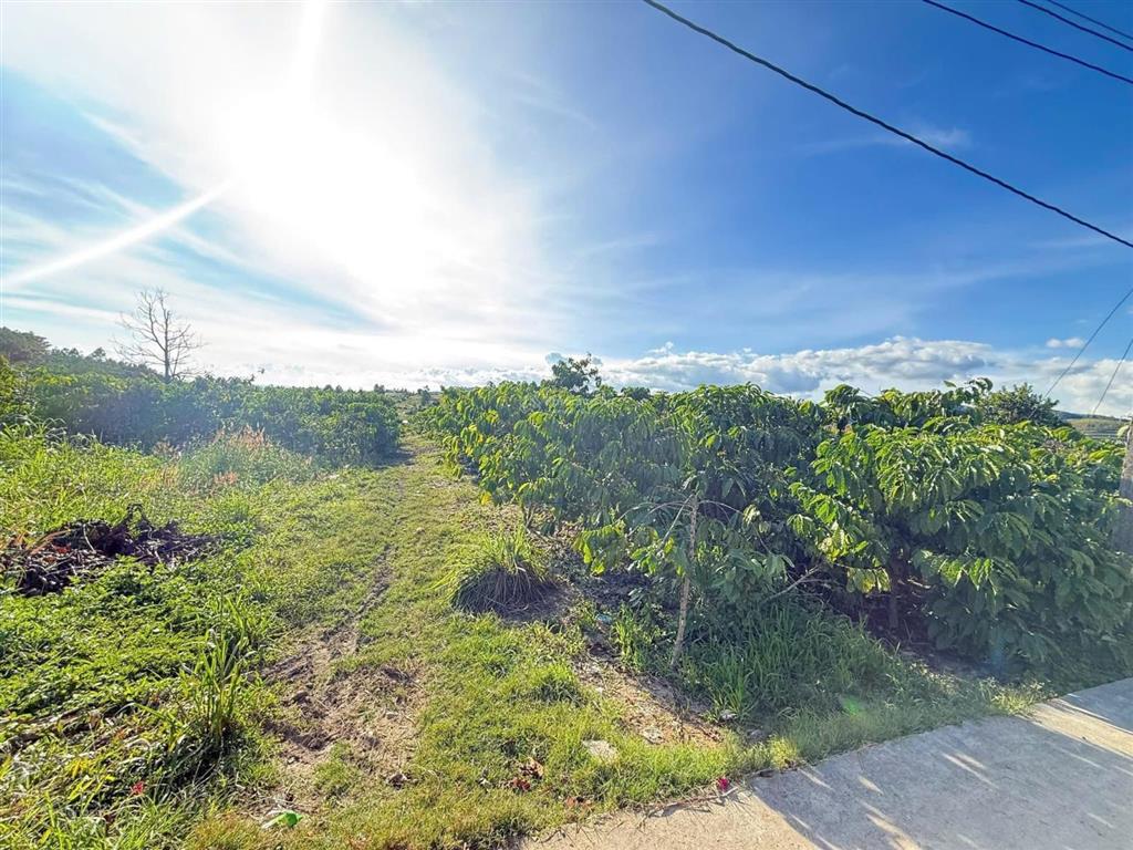 Lô đất rộng 2.000m², giá chỉ 2 tỷ cách đà lạt 27km