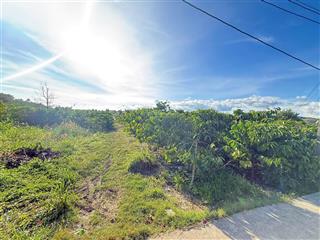 Lô đất rộng 2.000m², giá chỉ 2 tỷ cách đà lạt 27km