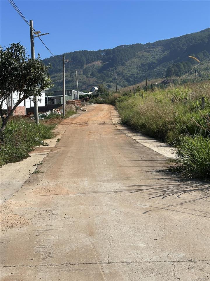 Đất nghỉ dưỡng view đồi thông chỉ 2,4 tỷ cách đà lạt 27km khí hậu mát mẻ quanh năm diện tích