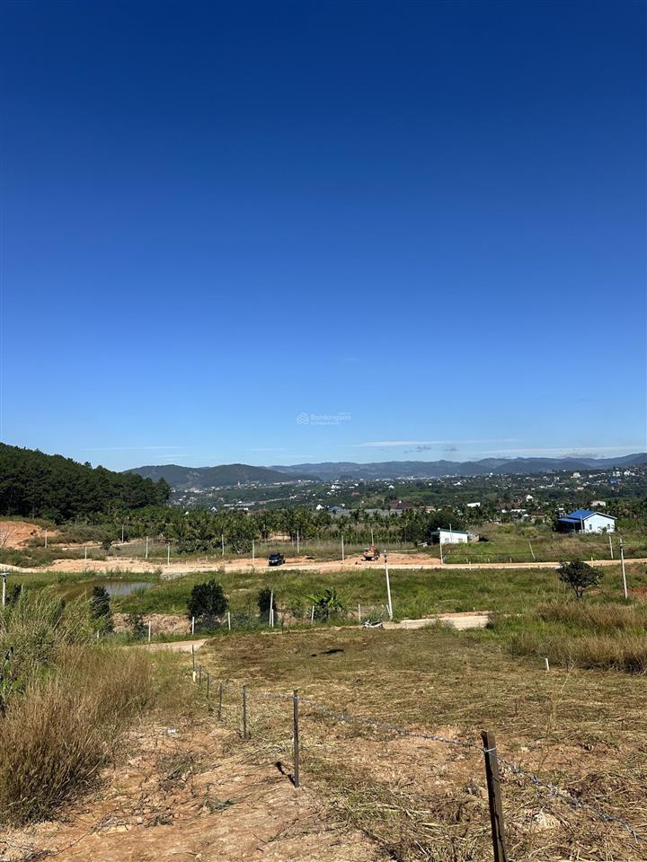 Đất nghỉ dưỡng view đồi thông chỉ 2,4 tỷ cách đà lạt 27km khí hậu mát mẻ quanh năm diện tích