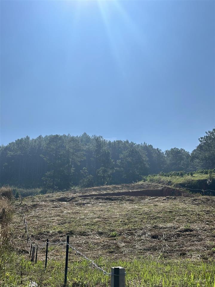 Đất nghỉ dưỡng view đồi thông chỉ 2,4 tỷ cách đà lạt 27km khí hậu mát mẻ quanh năm diện tích