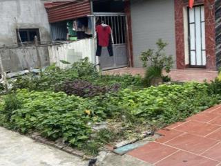 Chính chủ bán đất tiên hội, cạnh vin cổ loa, ô tô vào đất, 45m, 3 mặt thoáng, giá 4,6 tỷ