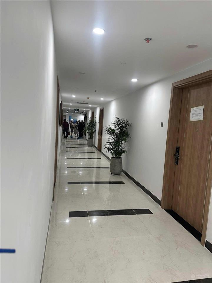 Bán cc đẹp xuất sắc tại the ninety complex, 4,65 tỷ, 46m2, đống đa, hà nội