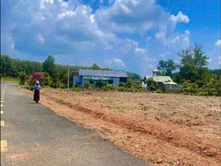 Cậu em làm ăn thua lỗ cần bán gấp 200m2 giá 320tr