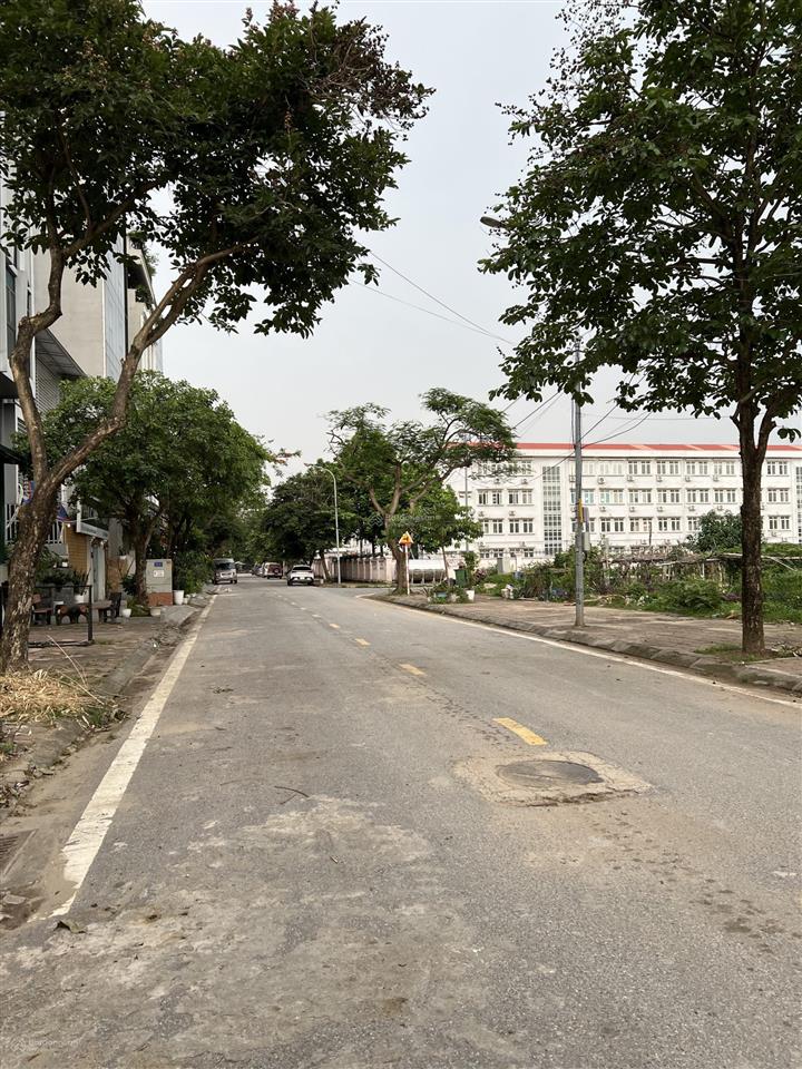 Đất đấu giá phục diẽn khu 2,25 ha dt 100m mặt tiền 5,7 m