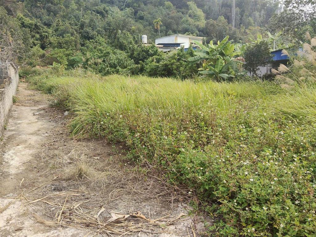 Bán đất kỳ sơn giả rẻ giá chỉ 4xxtr  ngay trung tâm ninh sơn ( kỳ sơn cũ)