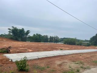 Bán đất tỉnh lộ 514 tại xã hợp tiến triệu sơn. phù hợp xây nhà ở,kinh doanh
