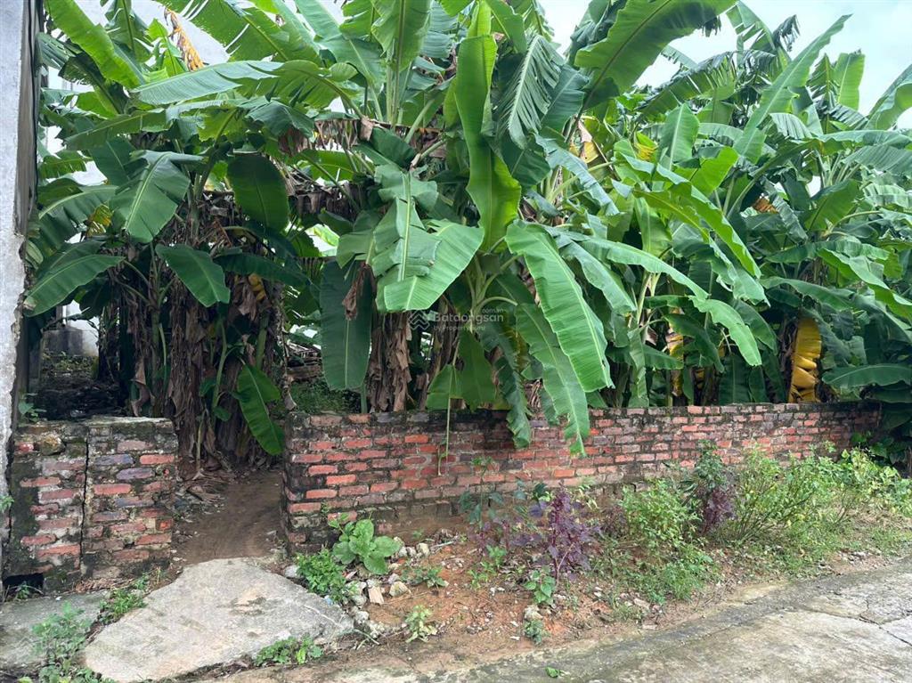 Bán 52.7m2 nở hậu, bìa làng mỹ nội, bắc hồng, đông anh. e phương 0944 404 ***check quy hoạch miễn phí