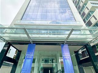 Chỉ 45 triệu/170m2 có ngay vp hạng b + mới 100% mt điện biên phủ, q3, dt đa dạng. tell 0919 167 ***