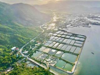 Cắt lỗ 30% bán nhanh 505m2 mặt tiền dt702