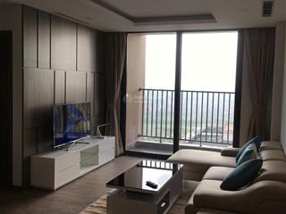 Cho thuê căn hộ 110m2  3pn full nội thất n01t4 ngđ  phú mỹ complex.20tr/th nhận nhà luôn