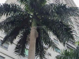 Bán nhà hà nội 70m2 lô góc 3 tỷ 8