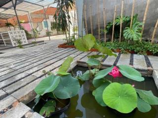 Bán đất tại đường 19, thủ đức, 18,5 tỷ, 267m2, phong thủy tốt, giá tốt