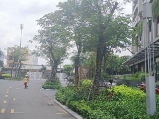 Duy nhất một căn giá 3,35 tỷ full nt tại opal boulevard 2pn2wc bao hết thuế phí chỉ việc vào ở