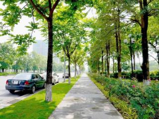 Shophouse 2 mặt tiền kinh doanh, có hầm, gần bãi đỗ xe, vay ls 0% ân hạn nợ gốc