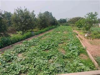 Bán gấp đất chính chủ 348m2 tại yên nghĩa, hà đông, giá tốt  sổ đỏ chính chủ