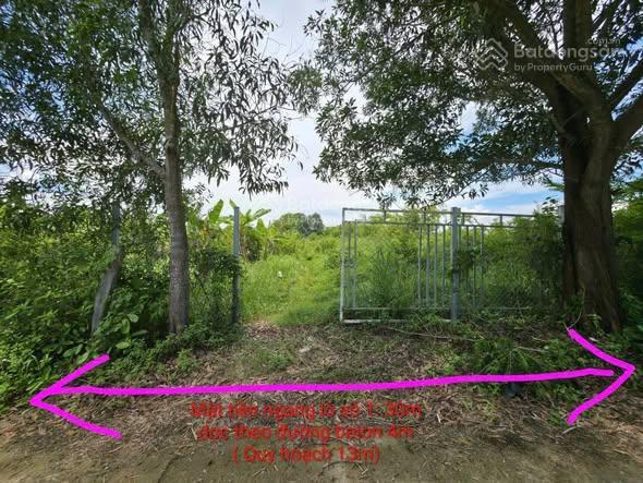 Giảm 200tr còn 1,6 tỷ lô nhỏ. xây farm, trang trại nghỉ dưỡng, hay đầu tư xuân đồng, diên khánh