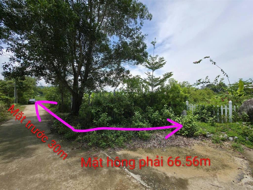 Giảm 200tr còn 1,6 tỷ lô nhỏ. xây farm, trang trại nghỉ dưỡng, hay đầu tư xuân đồng, diên khánh