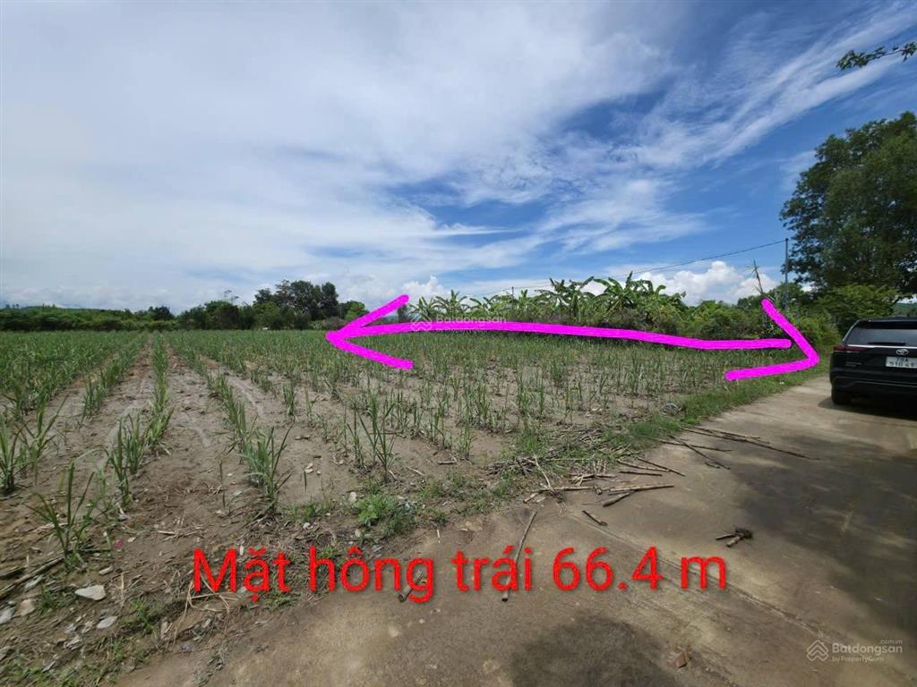 Giảm 200tr còn 1,6 tỷ lô nhỏ. xây farm, trang trại nghỉ dưỡng, hay đầu tư xuân đồng, diên khánh
