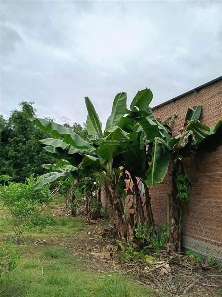 Giảm 500 triệu, bán nhanh, lấy tiền sửa nhà cửa bị lụt, mặt tiền tỉnh lộ 2 diên thọ, còn 5,1 tỷ