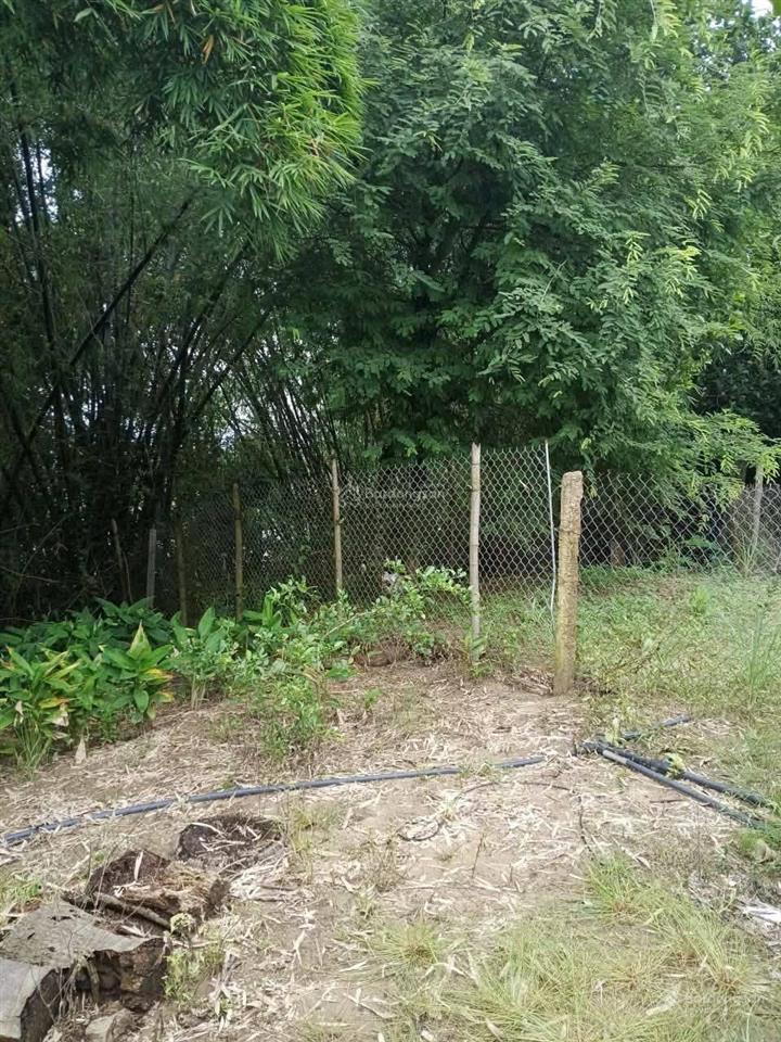 Giảm 500 triệu, bán nhanh, lấy tiền sửa nhà cửa bị lụt, mặt tiền tỉnh lộ 2 diên thọ, còn 5,1 tỷ