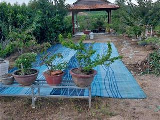 Xây farm, trang trại nghĩ dưỡng, đất tại khánh phú, khánh vĩnh, khánh hòa, 2625.2 m2, full nội thất