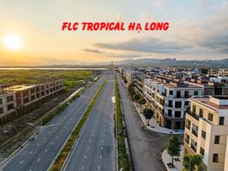 Flc tropical căn liền kề oii giá chỉ 15tr/m2 (đất). full đất móng và xây 75%  0936 915 ***