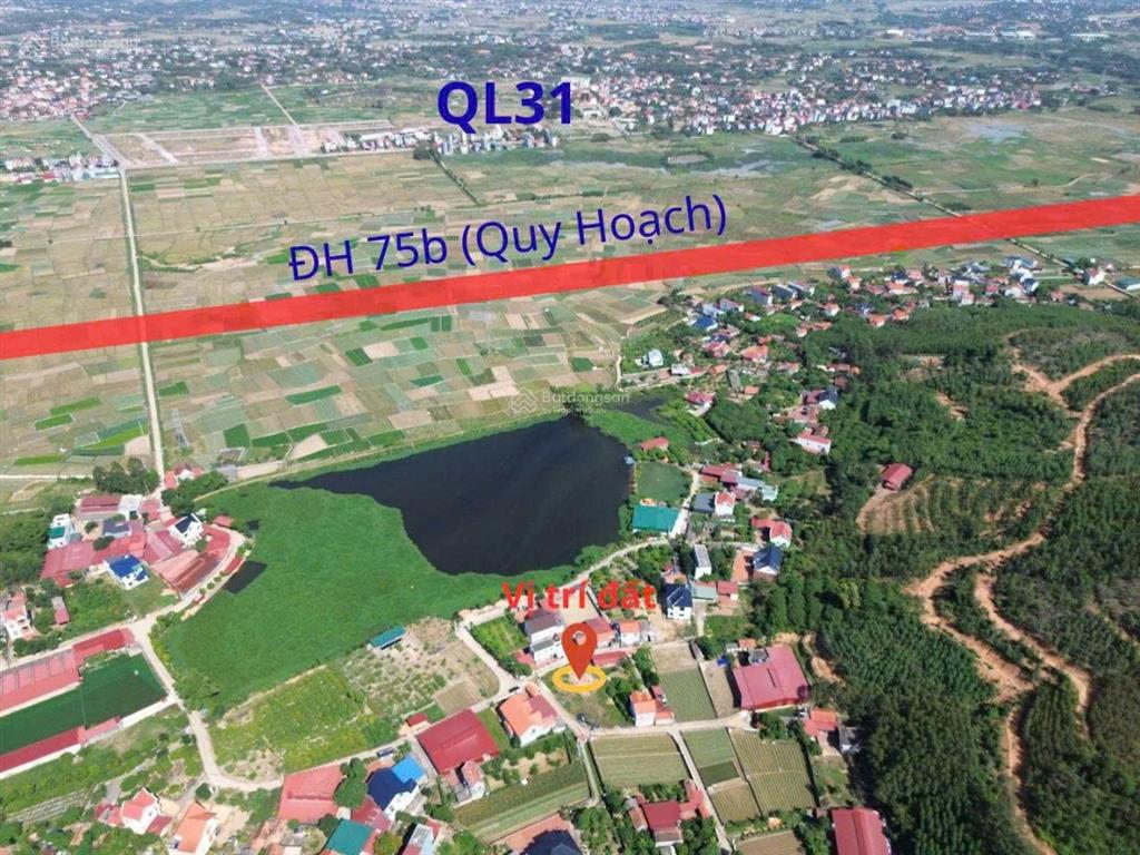 Giá f0 sập , sàn cho nhà đầu tư