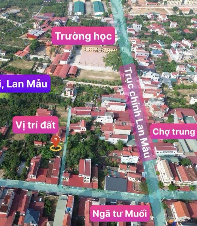 Đất ở + kinh doanh ngay ngã tư chợ muối lan mẫu
